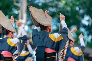 阿波踊り
