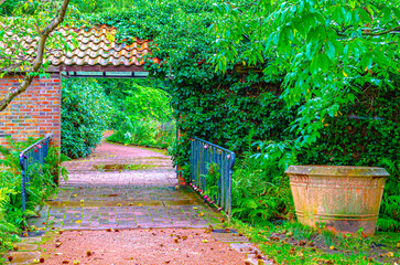 Abandoned road in a park 