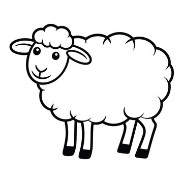 Simple cartoon drawing of a fluffy sheep