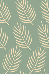 Fototapeta premium Delicate beige palm fronds on a muted green background leaves botanical