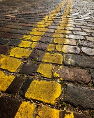 Follow the Yellow Brick Road