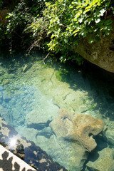 Exploring the crystal-clear waters of Cueva del Gato near Ronda, Spain on a sunny day