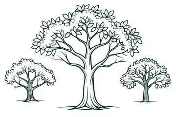 Three stylized trees in dark green line art nature