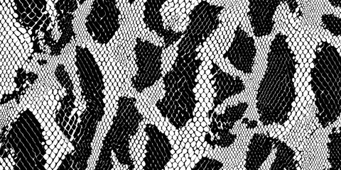 Seamless monochrome snake skin pattern, black and white vector texture , monochrome, snake skin