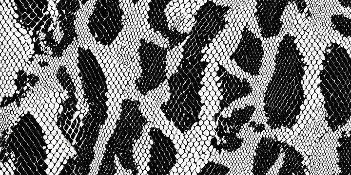 Seamless monochrome snake skin pattern, black and white vector texture , monochrome, snake skin