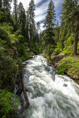 West Fork Wallowa River Area in Oregon