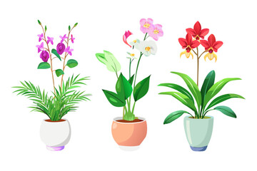Three potted houseplants with vibrant flowers and lush green foliage