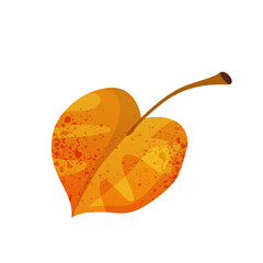 Autumn herbarium birch leaf. Vector fall and nature symbol. Forest and wood, garden foliage. Woodland texture or leaf print. Naturalist deciduous element. Biology, botany, ecology and flora, taxonomy.