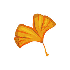 Autumn ginkgo tree leaf. Vector ginkgo ales plant herbarium. Naturalist flyleaf. Pressed forest or wood nature for taxonomy symbol. Twig and stem. Biology leaf print and garden botany, ecology foliage