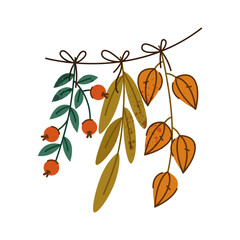 Twig with herbarium or autumn leaves. Vector icon of fall flora or woodland seasonal foliage, forest plant leaf print, wood berry. Garden season and nature symbol. Botany and biology, rustic taxonomy.