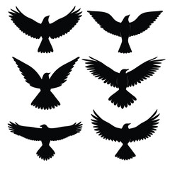 Obraz premium Six black bird silhouettes in flight white flying