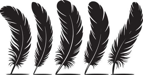 Obraz premium Feather vector illustration set with isolated bird quills and artistic design elements