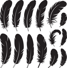Bird Feather silhouette vector set. bird feather vector illustration icon isolated on white background © HAFIJA KHATUN