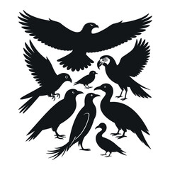 An Ornithological Array A Collection of Birds Featuring Eagles Parrots and More Showcasing the Beauty and Diversity of Avian Life in Flight and Stillness Silhouette Art
