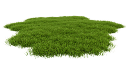 Patch of Green Grass Isolated on Transparent Background