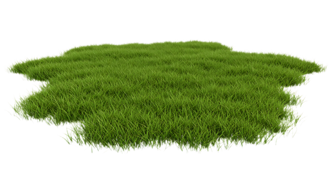 Patch of Green Grass Isolated on Transparent Background