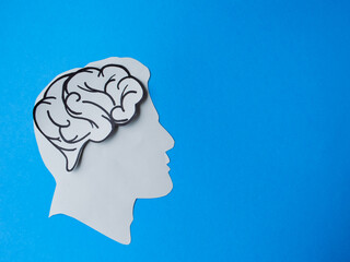 Human Head with Brain on Blue Background
