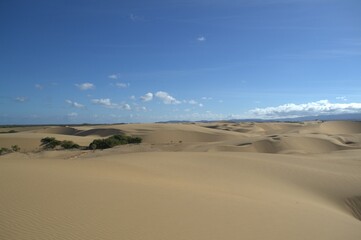 The Paraguaná Peninsula and Médanos de Coro National Park offer a fascinating combination of desert landscapes, coastal ecosystems, and historical significance.
