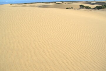 The Paraguaná Peninsula and Médanos de Coro National Park offer a fascinating combination of desert landscapes, coastal ecosystems, and historical significance.