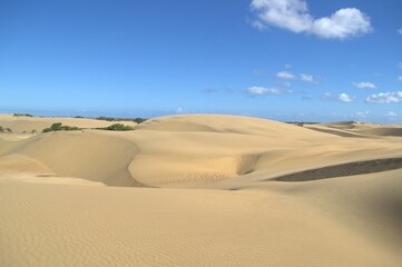 The Paraguaná Peninsula and Médanos de Coro National Park offer a fascinating combination of desert landscapes, coastal ecosystems, and historical significance.