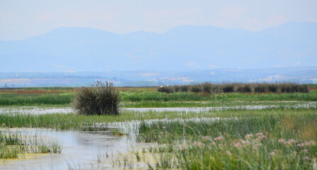 A view from the Kizilirmak Delta Bird Sanctuary in Bafra, Samsun, Turkey.