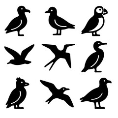 Obraz premium Seabirds Icon Set. Solid style icons of seabirds: albatross, gull, puffin, shearwater, frigatebird, cormorant, auklet, petrel,