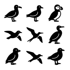 Obraz premium Seabirds Icon Set. Solid style icons of seabirds: albatross, gull, puffin, shearwater, frigatebird, cormorant, auklet, petrel,