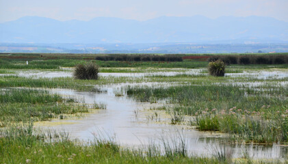 A view from the Kizilirmak Delta Bird Sanctuary in Bafra, Samsun, Turkey.