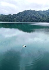 blue coloured lake goy gol in azerbaijan ,reserved park .High quality © Rana