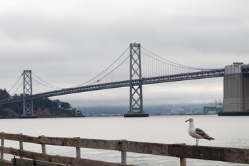 lanscape of bidge of san francisco