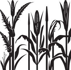 Black Silhouette Corn Field Illustration