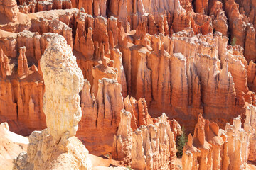 view of trail in bryce canyon national park utah