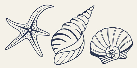 A vibrant vector illustration set of diverse marine shells, starfish, and ocean life patterns