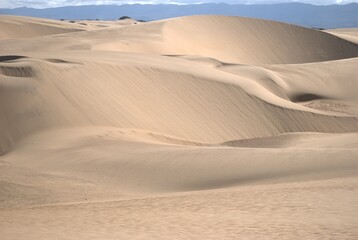 The Paraguaná Peninsula and Médanos de Coro National Park offer a fascinating combination of desert landscapes, coastal ecosystems, and historical significance.