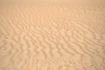 The Paraguaná Peninsula and Médanos de Coro National Park offer a fascinating combination of...