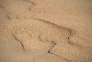 The Paraguaná Peninsula and Médanos de Coro National Park offer a fascinating combination of desert landscapes, coastal ecosystems, and historical significance.