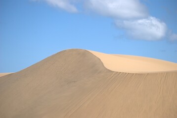 The Paraguaná Peninsula and Médanos de Coro National Park offer a fascinating combination of desert landscapes, coastal ecosystems, and historical significance.