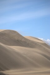 The Paraguaná Peninsula and Médanos de Coro National Park offer a fascinating combination of desert landscapes, coastal ecosystems, and historical significance.