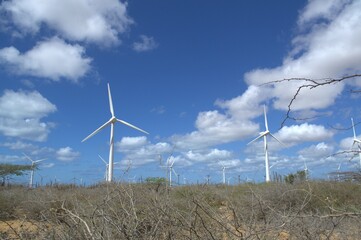 Wind energy in Venezuela.
Venezuela has enormous potential to produce clean energy, one of them is...