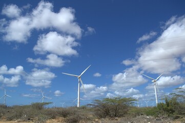 Wind energy in Venezuela.
Venezuela has enormous potential to produce clean energy, one of them is wind energy.