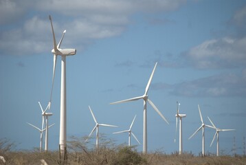 Wind energy in Venezuela.
Venezuela has enormous potential to produce clean energy, one of them is...
