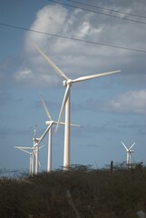 Wind energy in Venezuela.
Venezuela has enormous potential to produce clean energy, one of them is wind energy.