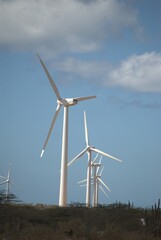 Wind energy in Venezuela.
Venezuela has enormous potential to produce clean energy, one of them is wind energy.