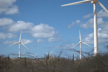 Wind energy in Venezuela.
Venezuela has enormous potential to produce clean energy, one of them is wind energy.