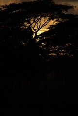 There is competition between the different regions of Venezuela to decide where to see the best sunsets!