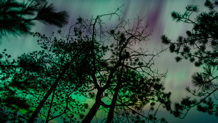 Upper Michigan Northern Lights