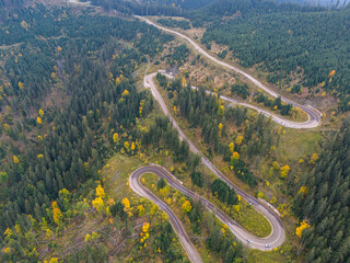 Serene winding road through vibrant autumn forest with golden leaves and soft sunlight