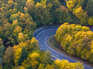 Serene winding road through vibrant autumn forest with golden leaves and soft sunlight