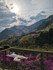 Smiling Man Enjoying Relaxation in Tropical Hammock – Peace, Freedom, Connection, Lounge, Nature, Resort, Calm, Outdoors, Sunny, Comfortable, Forest, Eyeglasses, Recreation