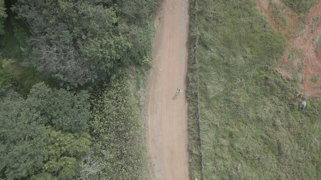 Parque Natural Trilha na Floresta Estrada de Terra Corrida de Trilha Ciclismo de Montanha Cidade do Interior Paisagem Rural Caminho na Natureza Estrada de Cascalho Esporte ao Ar Livre Vegeta&ccedil;&atilde;o Nativa